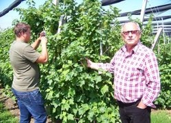 Вітольд Ориняк демонструє порічки під плівковим укриттям